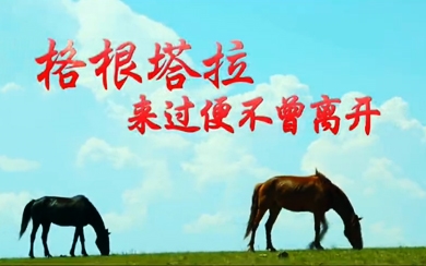 &#121;&#105;&#98;&#111;&#20159;&#21338;&#40;&#20013;&#22269;&#41;&#23448;&#26041;&#32593;&#31449;&#45;&#30331;&#24405;&#20837;&#21475;